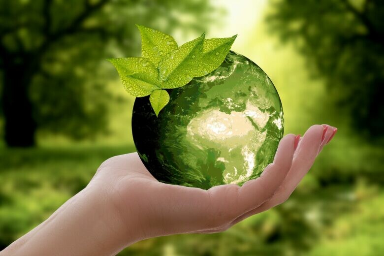 Entrepreneure: „Ich sorge mich um die Umwelt, aber…